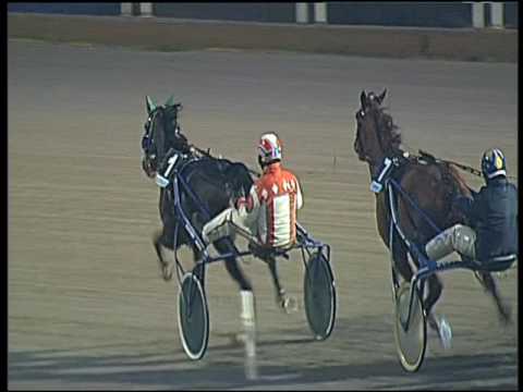 Trotto 17/01/2017 - 4ª corsa