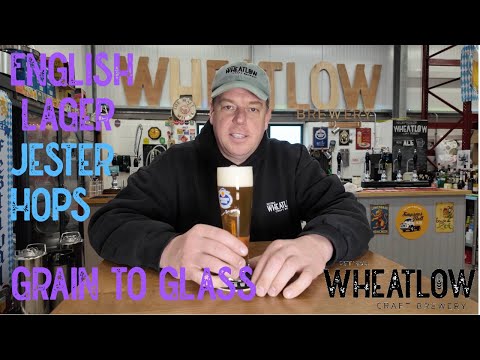 Brewing a Premium Lager at Home 🍺 | British Lager Brew Day | Grain to Glass