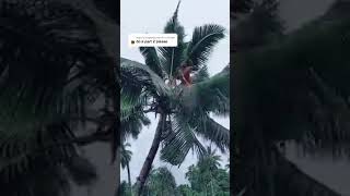 Download lagu Rindu bayangan.. mp3