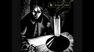 Black Lab - Can't keep the rain