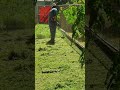 Echo Srm 225 In Action