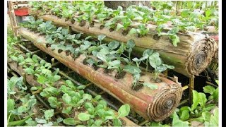 কৃষি ধারনা