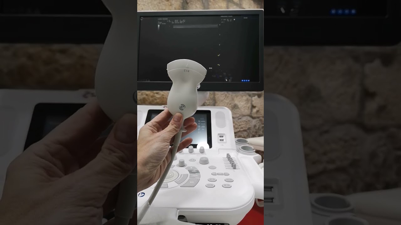 Saichy E. Diaz Chang-6