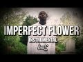 Quando Rondo - Imperfect Flower Instrumental (Official) (Prod By Lbeats) Quando Rondo - Imperfect Flower Instrumental (Official) (Prod By Lbeats)