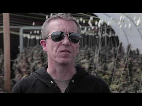 The History of Hemp Prohibition in the US