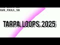 TARPA LOOPS Tarpa Loops ︎ ︎ ︎ ︎ ︎ ｌｏｏｐｓ 𝗧𝗔𝗥𝗣𝗔 Flstudiomobaile