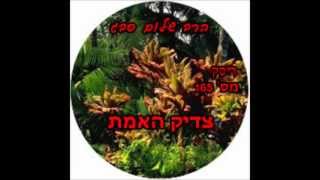 הרב שלום סבג - שיעורי אודיו - צדיק האמת