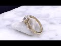 video - Bird Watcher Engagement Ring with Ravens