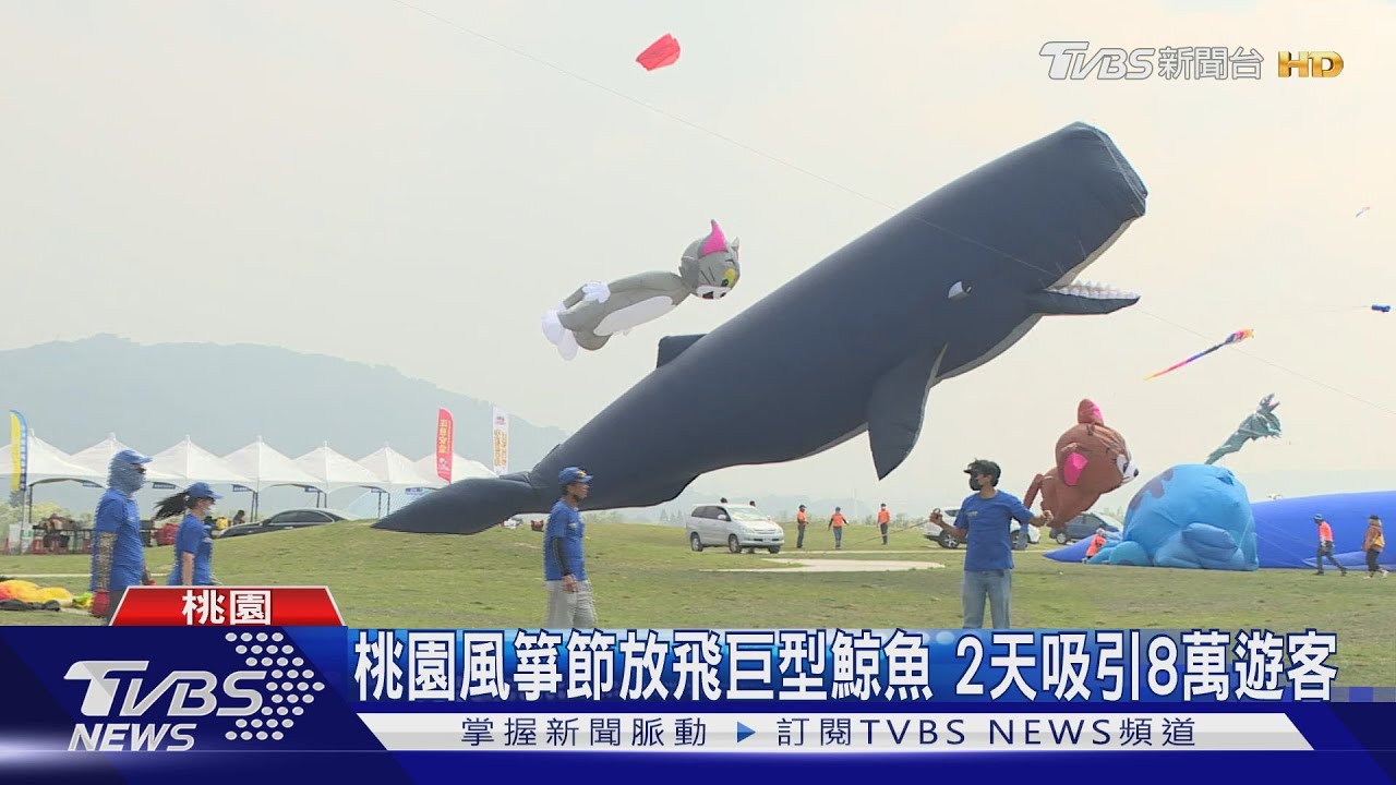 桃園風箏節放飛巨型鯨魚　2天吸引8萬遊客
