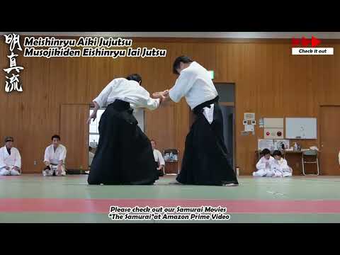 Meishinryu Aikido techniques 明真流　合気道の稽古 #aikido #合気道 #天照会 2025 1026 03