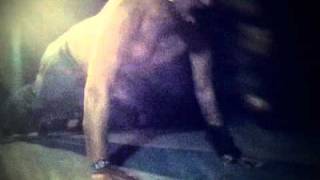 NAKED LIGHTS /  BABY BAKLAVA / SANITY MUFFIN