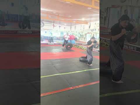 Wushu Martial Arts Sanda Jab Training with Tyre #short