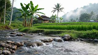Download lagu Free Stock Footage Indonesia Village Scenery Loop | No Watermark | Rural Nature Background 4K. mp3