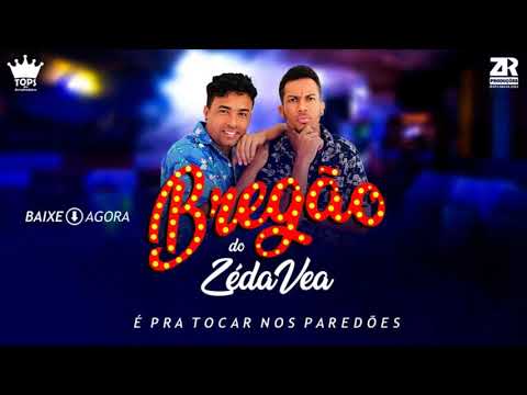 BREGÃO DO ZÉ DA VEA VOL-1 - PRA COMER ÁGUA