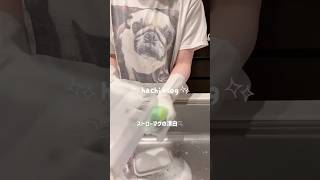 ストローマグの漂白🫧#主婦の日常 #日常vlog #女の子ママ