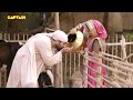 शिरडी वाले साईं बाबा के चमत्कार SHIRDI WALE SAI 