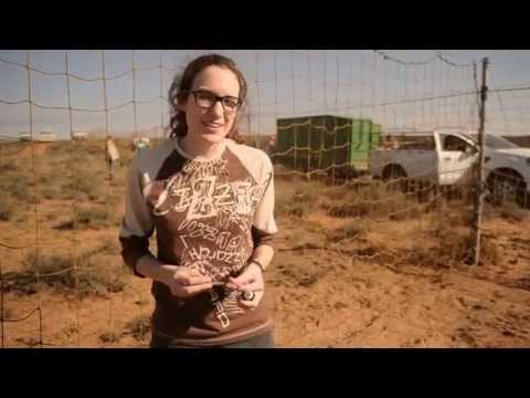 Liza van Deventer video.