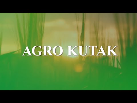 AGRO KUTAK: Kako dolazi do pojave aflatoksina u mlijeku? - 22.02.2022.