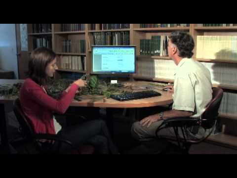 Weed Identification - Part 3