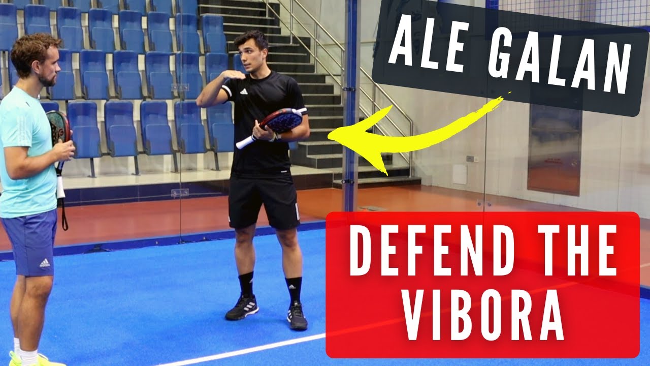 Vibora defence: positioning and shot selection