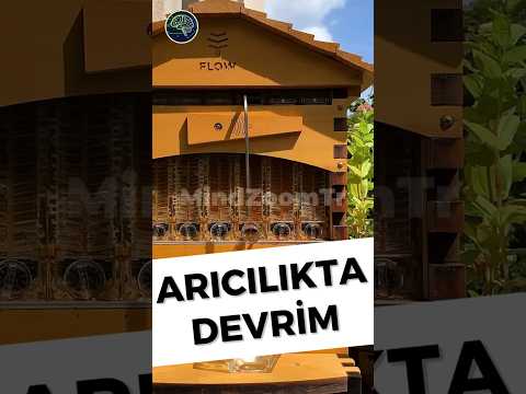 Arıcılıkta Devrim! 🐝 Flow Hive ile Bal Toplamak Artık Çok Kolay