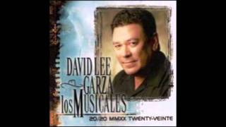 David Lee Garza Y Los Musicales - Ahora Soy Feliz