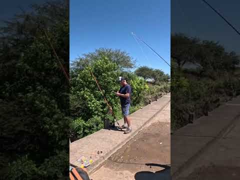 🔥MUCHA Pesca y Cocina🔥 Los Puestos y Arroyo Mista #pesca #fishing #argentina #tucuman #fish