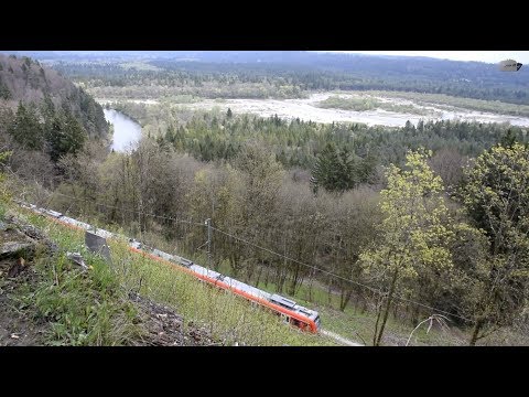 ET 423 der S-Bahn München im Loisachtal: Züge und Natur zwischen Icking und Wolfratshausen