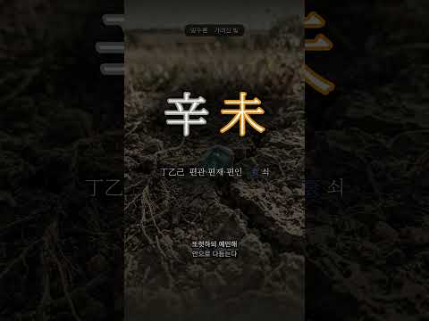 흙에 묻힌 보석 | 신미(辛未) 일주
