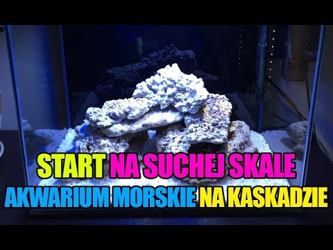 (19) MyReef 50 - Start na suchej skale - Akwarium morskie bez sumpa na kaskadzie - Reef aquarium