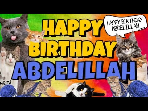 Happy Birthday Abdelillah! Crazy Cats Say Happy Birthday Abdelillah (Very Funny)
