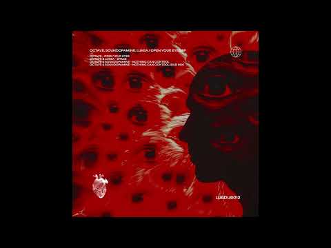 Octave, Soundopamine - Nothing Can Control (Dub Mix) [LUBDUB012]