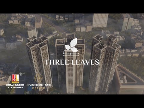 Three Leaves Project Tour 1
