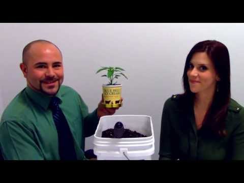 Repurpose Ice Cream Cartons