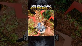 Download lagu 참새를 없애라고 했습니다, 그러자 수천만 명이.. mp3