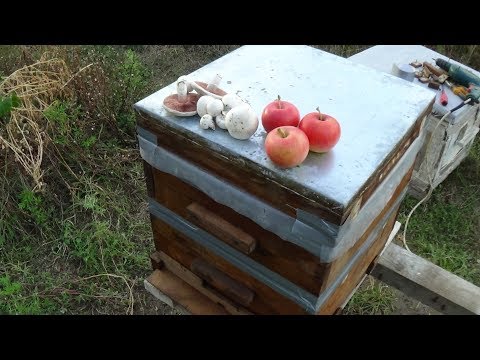 Подготовка малоформатного улья в зиму на пасике