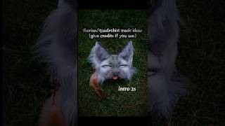 therian mask ideas(credits for the base: betep.k)#mask #ideas #therian #quadrobics #furry #cat #art