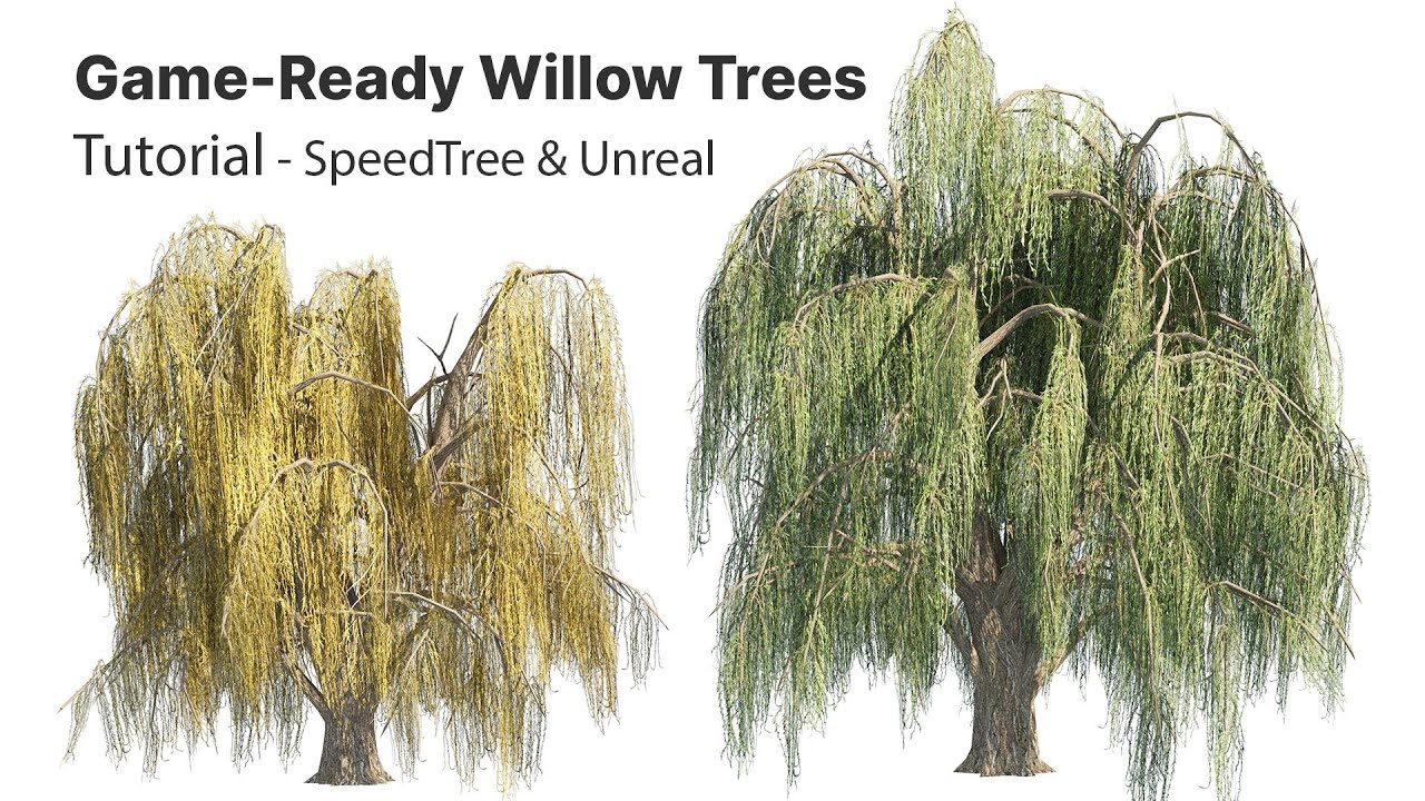 Summer and fall weeping willow trees with free 3D Model
