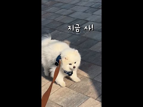 아이콘