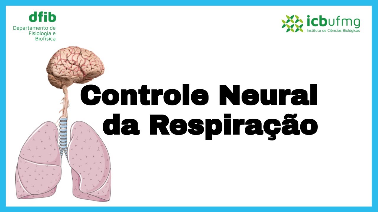 Controle Neural da Respiração