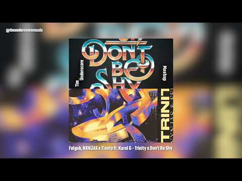 Tiesto ft. Karol G x Felguk, NXNJAS - Don't Be Shy x Trinity (Tim Underscore Mashup)