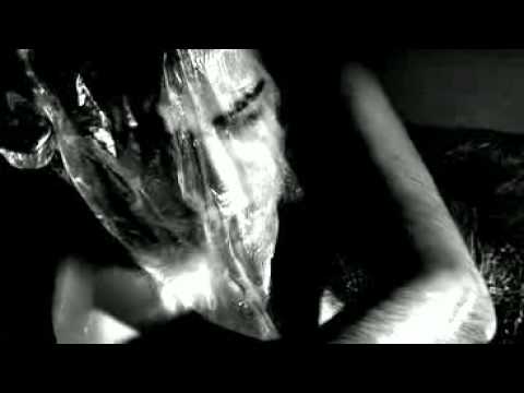 Shahin Najafi - Shaere Tamam Shodeh (Official Music Video)