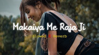Download lagu Makaiya Me Raja Ji - Slowed Reverb mp3 Download lagu Makaiya Me Raja Ji - Slowed Reverb mp3