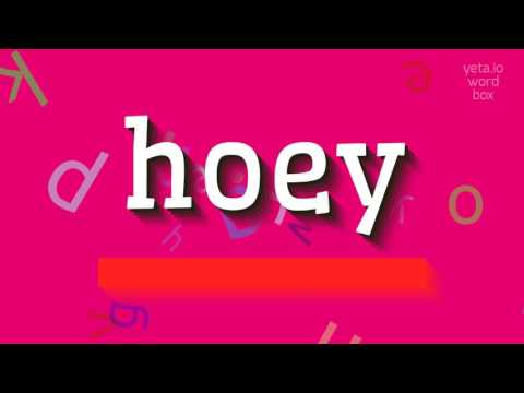 How to say "hoey"! (High Quality Voices)