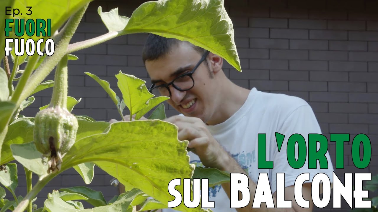 FUORI FUOCO | Ep. 3 - L'orto sul balcone - web series