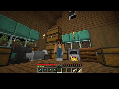 Minecraft with brownbraid Season 3 Episode 14