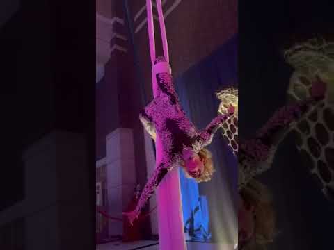 Aerial Artistry