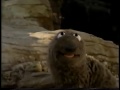 Sesame Street In Search Of Fish