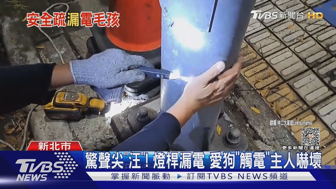 驚聲尖「汪」!燈桿漏電 愛狗「觸電」主人嚇壞