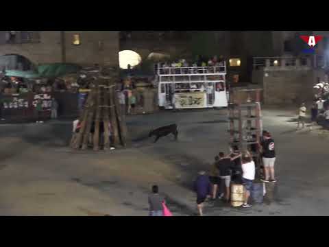 Toro del apagón en directo